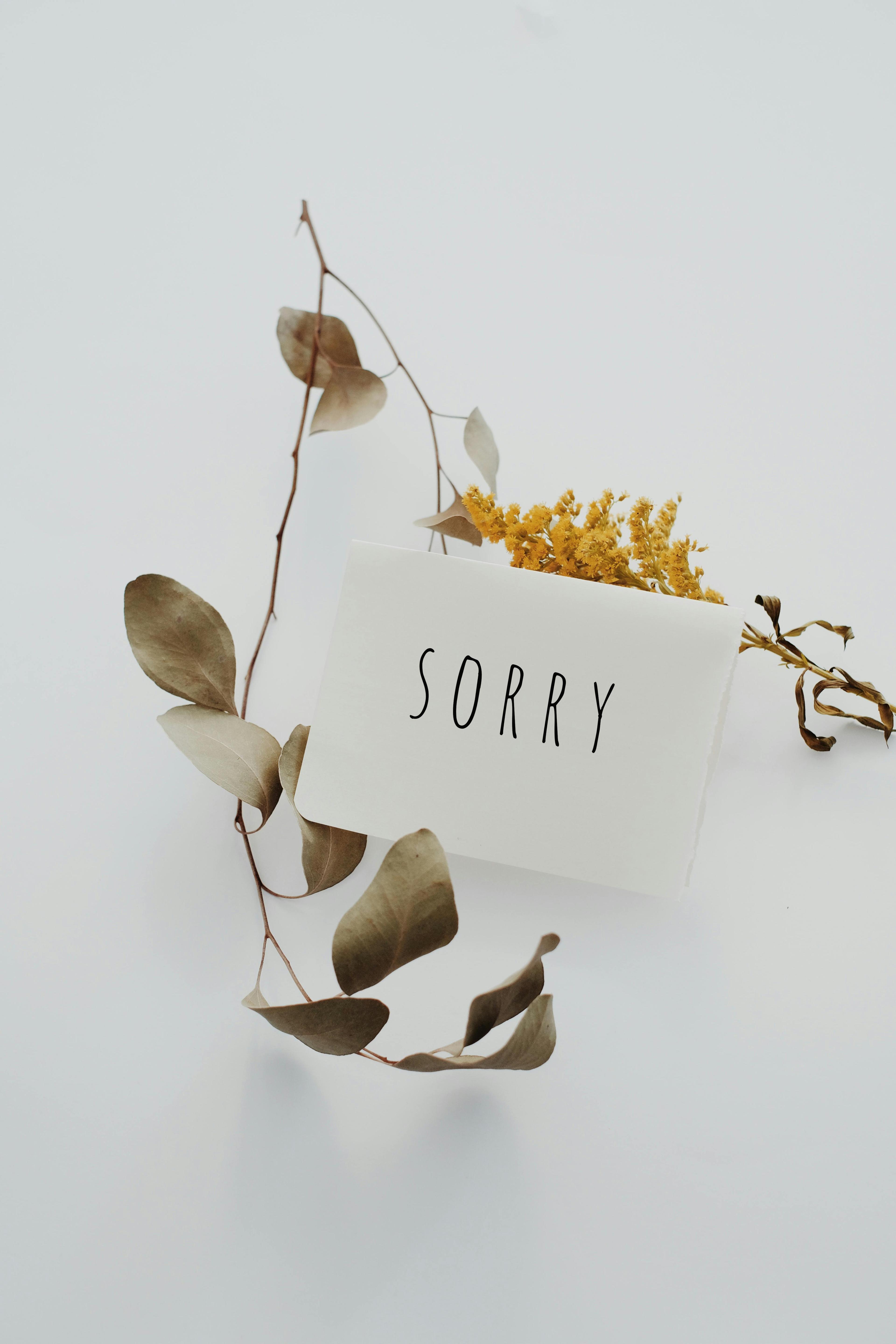Stop Apologizing: 60 Examples To Reframe Your Language To Boost Confidence